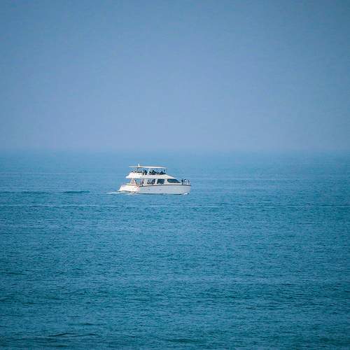 Photo #13608492