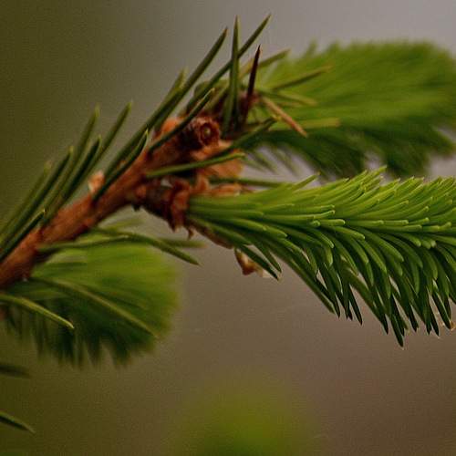 Photo #13608496