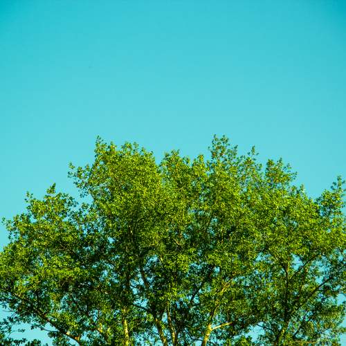Photo #13608567