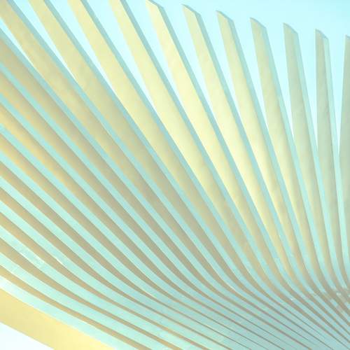 Photo #13608603