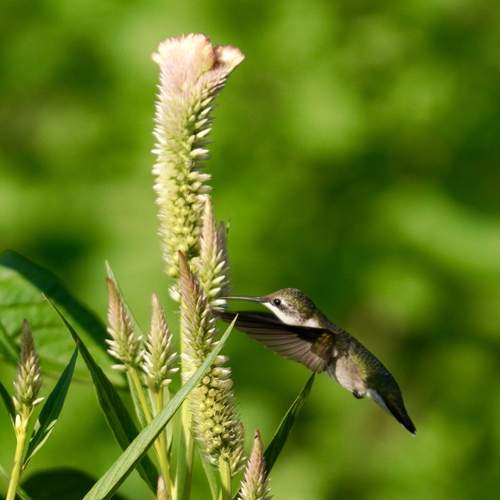Photo #13608609