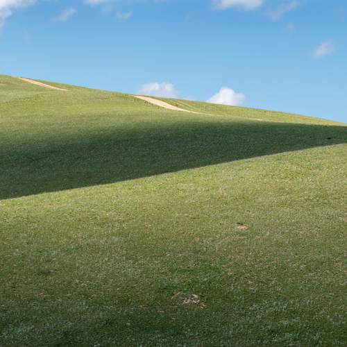 Photo #13608630
