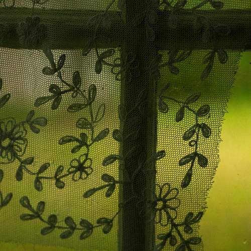 Photo #13608674