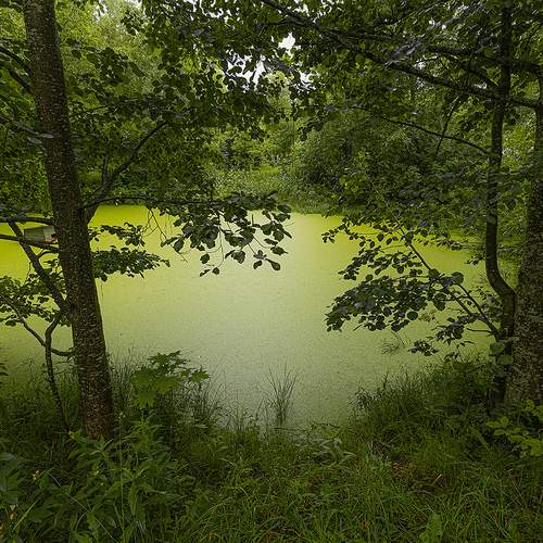 Photo #13608681