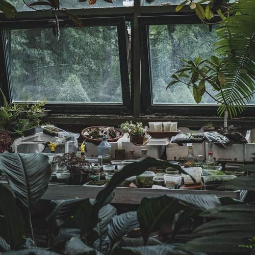 Photo #13608726