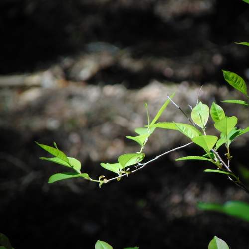 Photo #13608734