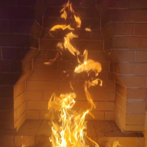Photo #13608774