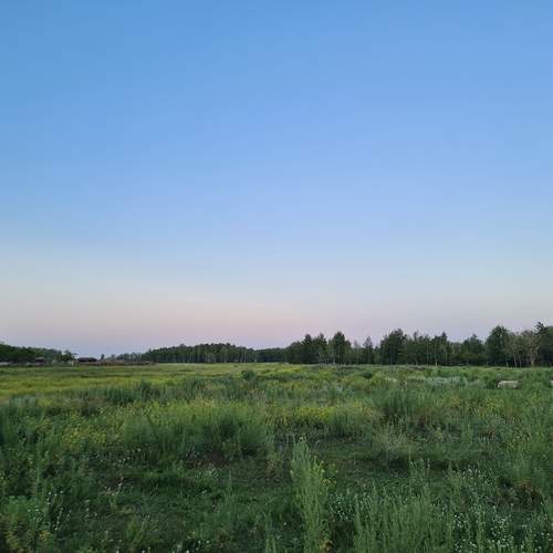 Photo #13608782