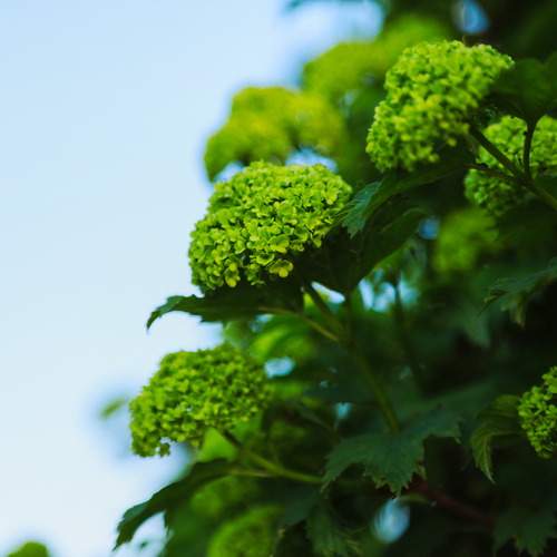 Photo #13608882