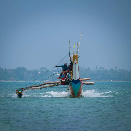 Photo #13609002