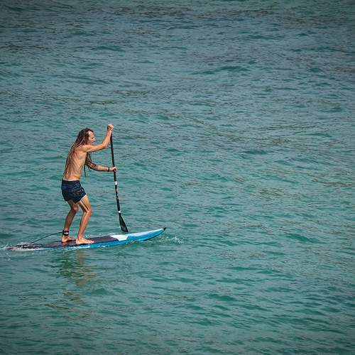 Photo #13609013