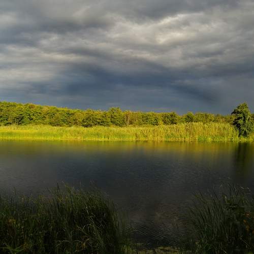 Photo #13609057