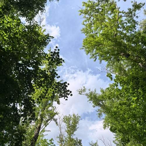Photo #13609128
