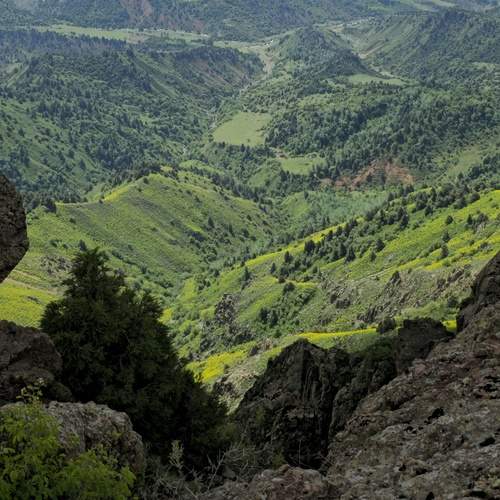 Photo #13609134