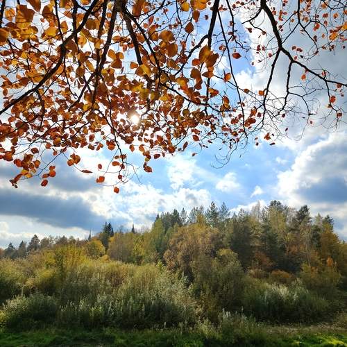 Photo #13609174