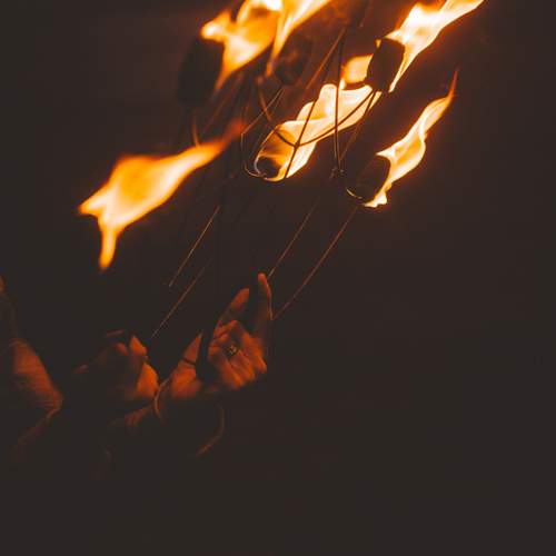 Photo #13609430