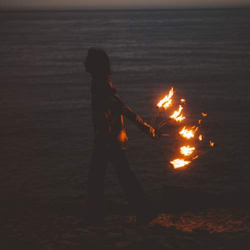Photo #13609435