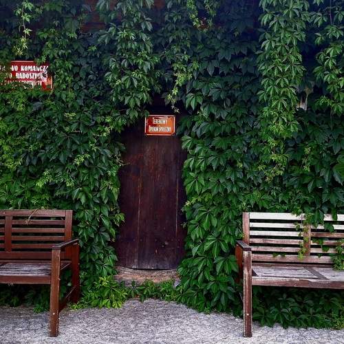 The Secret Green Portal