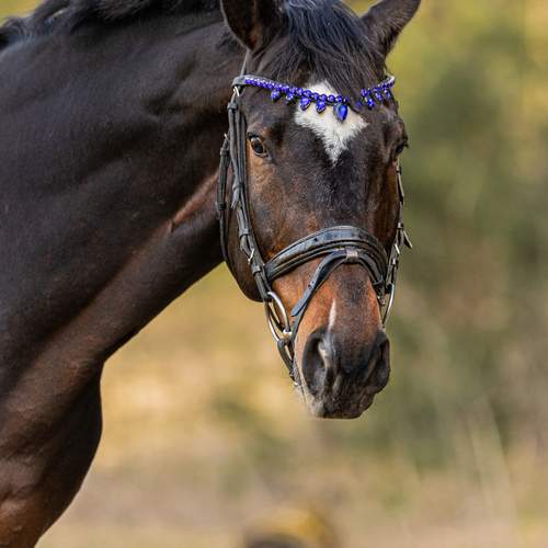 Photo #13609488