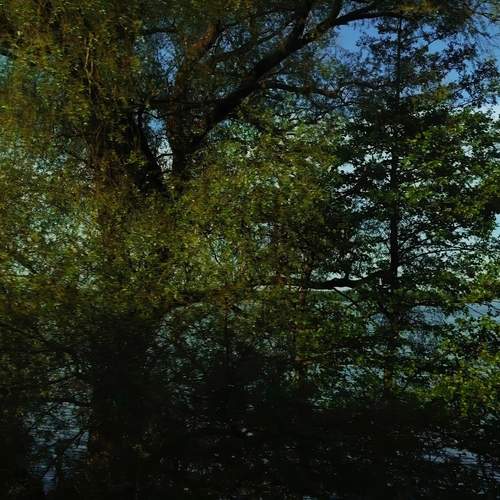 Photo #13609497