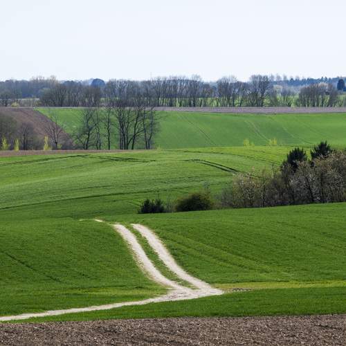 Photo #13609500