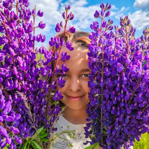 Photo #13609542