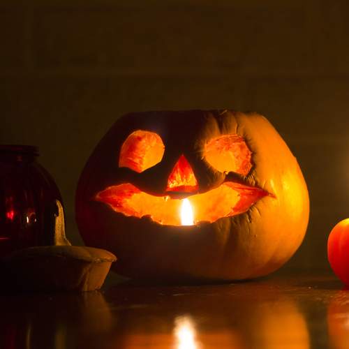 Photo #13609574
