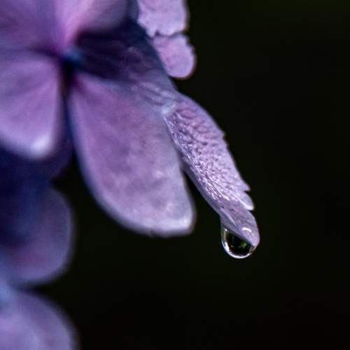 Photo #13609639