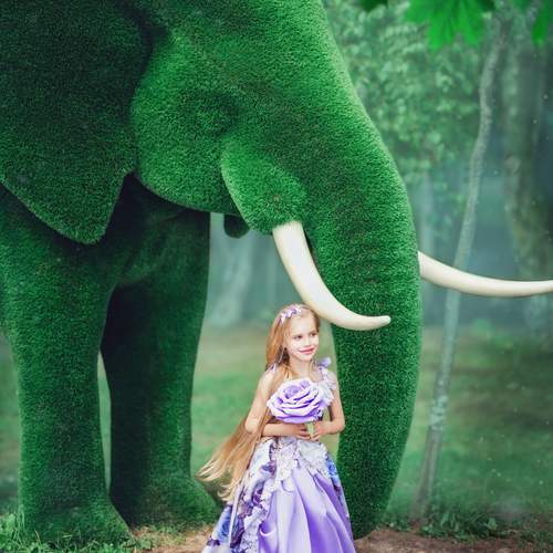 Photo #13609688