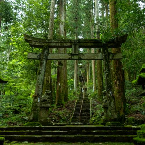A torii gate that leads to the gods.