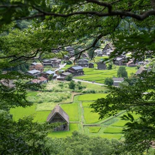 Photo #13609903