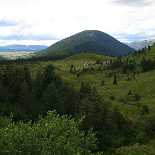 Photo #13609921