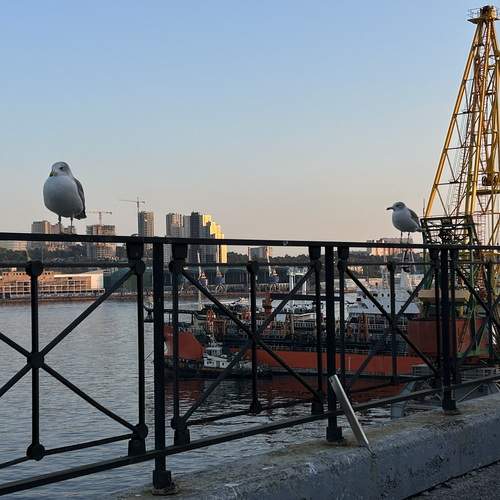 Photo #13609923
