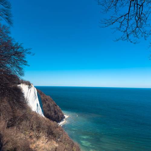 Photo #13609974