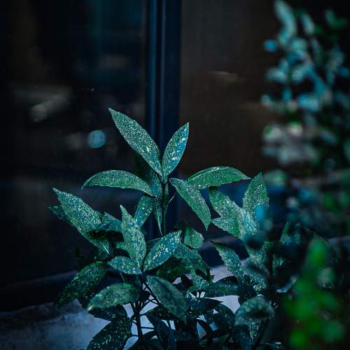 Photo #13609995