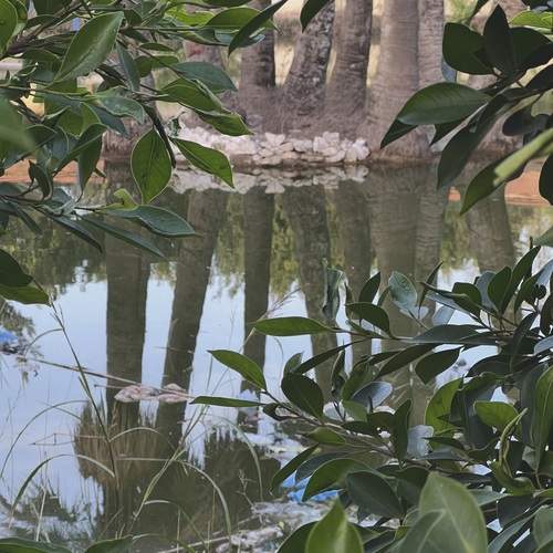 Photo #13610025