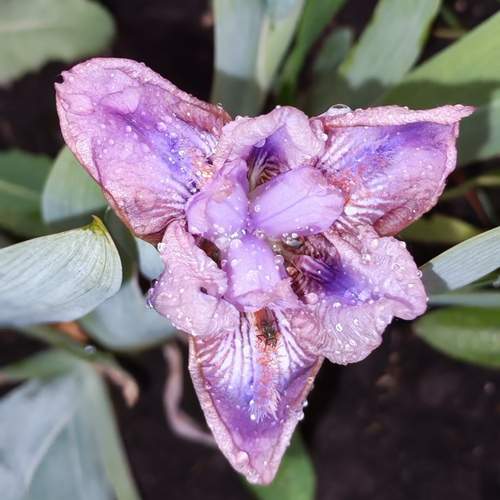 Photo #13610108