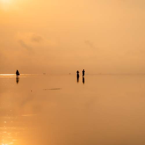 Photo #13610124
