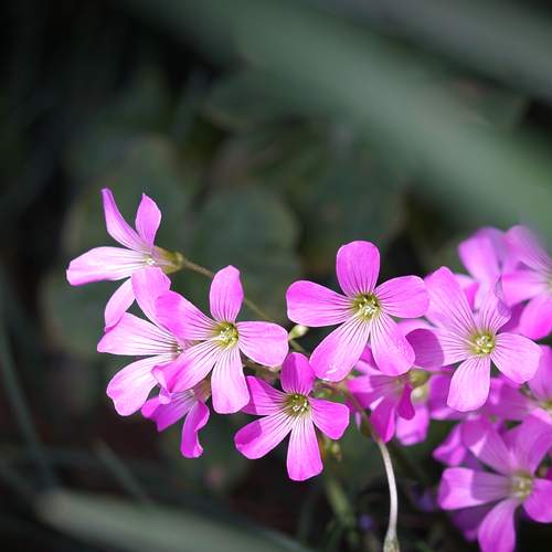 Photo #13610161