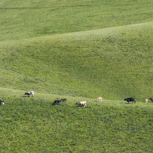 Photo #13610162