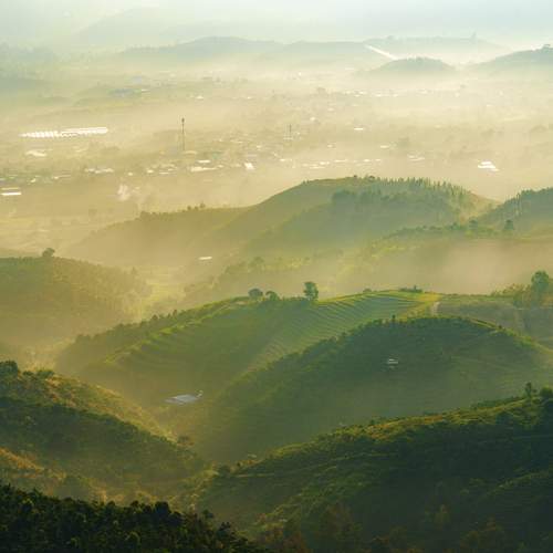 Dat Ninh