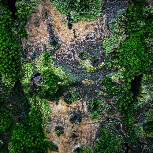 Photo #13610268