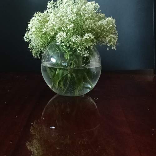 Photo #13610269