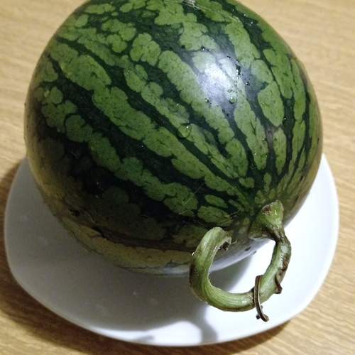 Photo #13610295