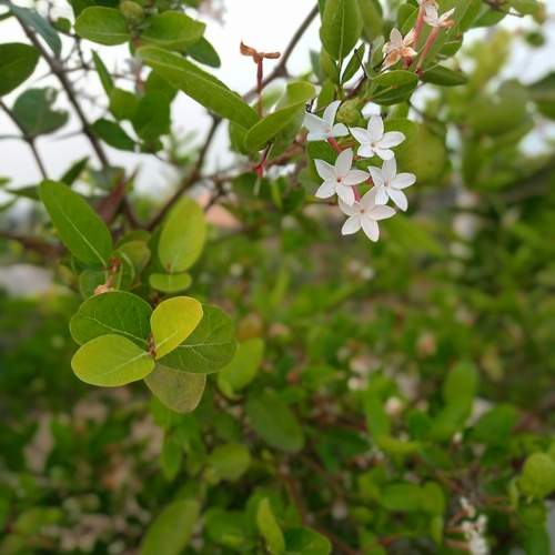 Photo #13610346