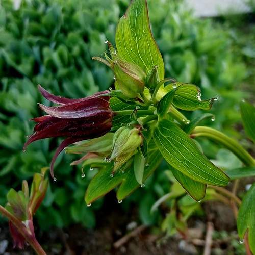 Photo #13610571