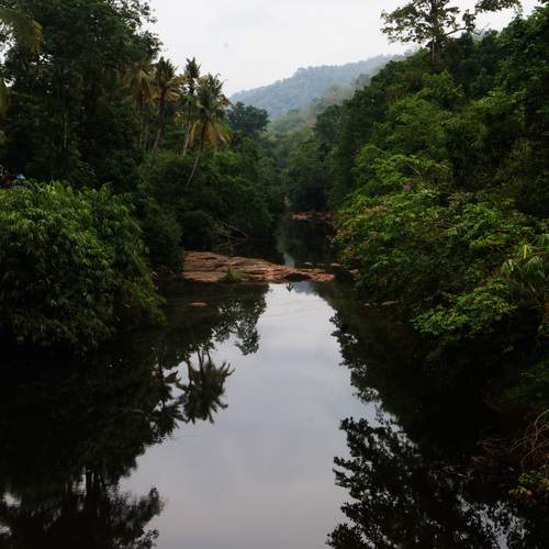 Photo #13610596