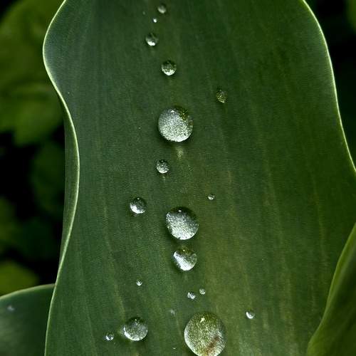 Photo #13610672