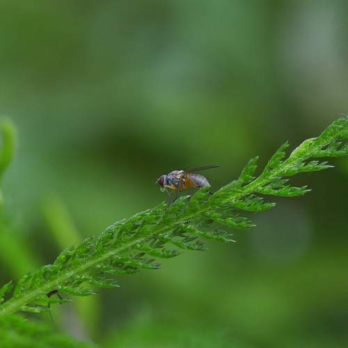 Photo #13610699