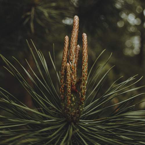 Photo #13610813